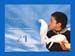 Peace Poster 329